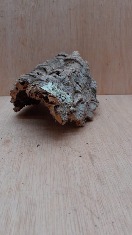Small Cork Hide 6