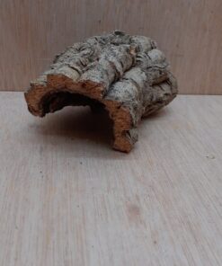 Small Cork Hide 8