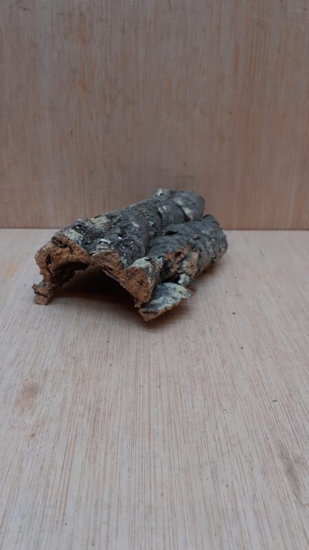 Small Cork Hide 20