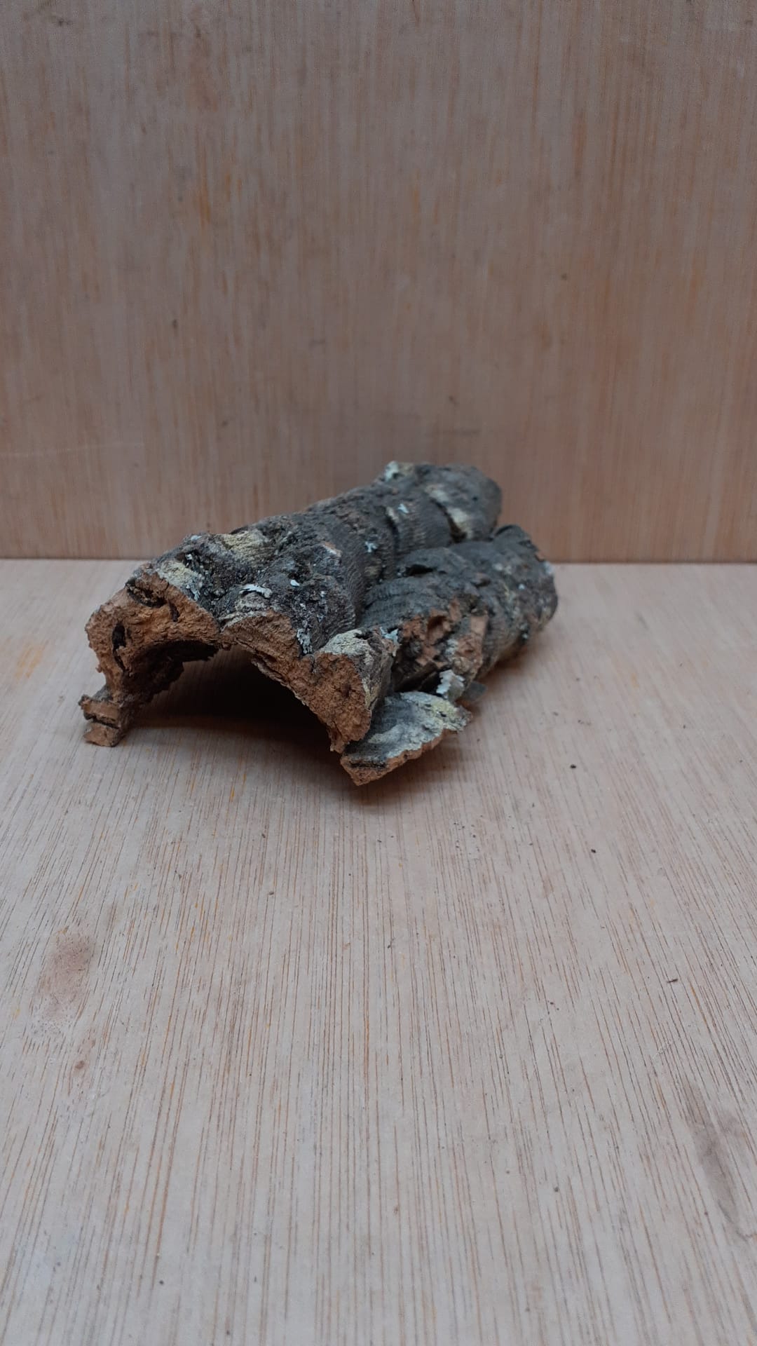 Small Cork Hide 20