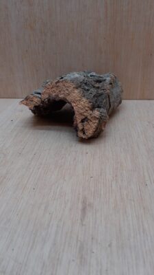 Small Cork Hide 21