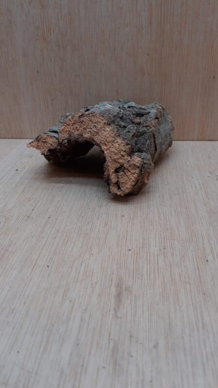 Small Cork Hide 21