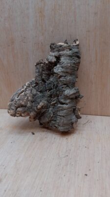 Small Cork Flat 26