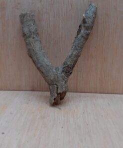 Small Cork Branch - Upto 40cm - 12