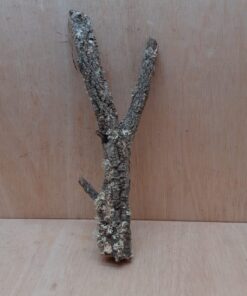 Small Cork Branch - Upto 40cm - 16