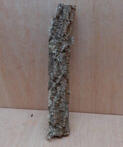 Small Cork Branch - Upto 40cm - 24