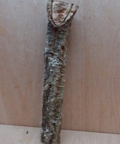 Small Cork Branch - Upto 40cm - 25