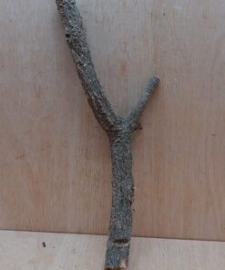Small Cork Branch - Upto 40cm - 29