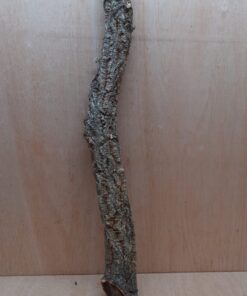 Medium Cork Branch - 40-80cm - 25