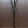 Large Cork Branch - 80-110cm - 3