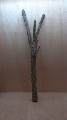Large Cork Branch - 80-110cm - 3