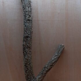 Large Cork Branch - 80-110cm - 15