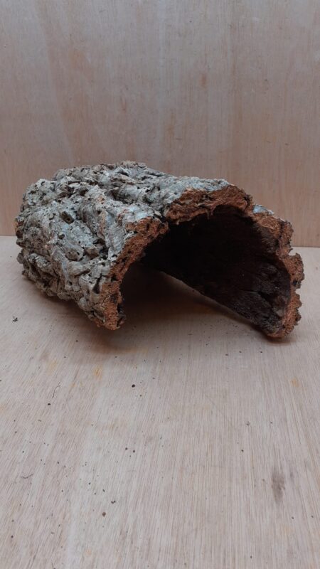 Medium Cork Hide 5