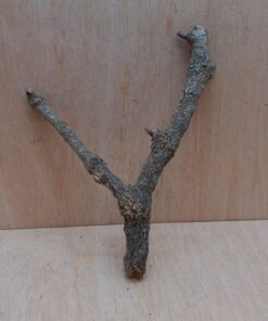 Small Cork Branch - Upto 40cm - 6