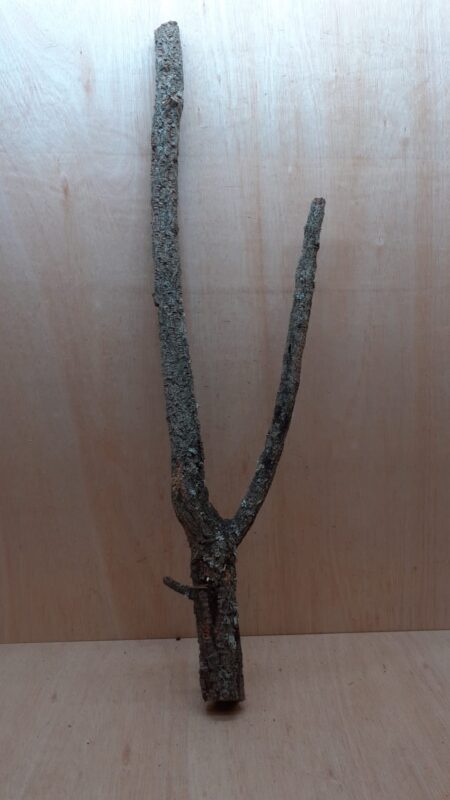Large Cork Branch - 80-110cm - 2