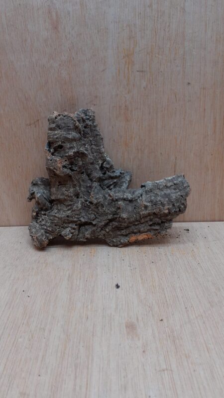 Small Cork Flat 27