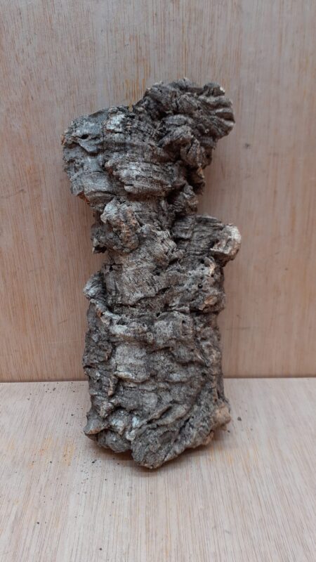 Medium Cork Flat 3