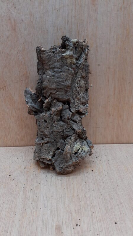 Medium Cork Flat 26