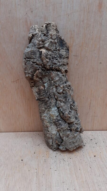 Medium Cork Flat 29