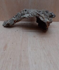 Small Cork Hide 3