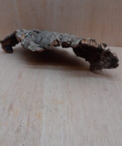 Small Cork Hide 9