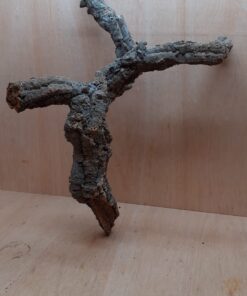 Medium Cork Branch - 40-80cm - 17