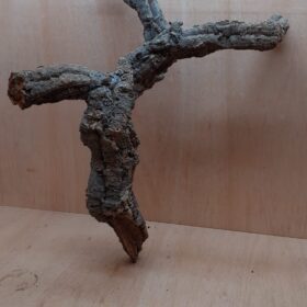 Medium Cork Branch - 40-80cm - 17