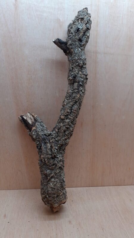 Medium Cork Branch - 40-80cm - 24