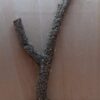 Medium Cork Branch - 40-80cm - 2