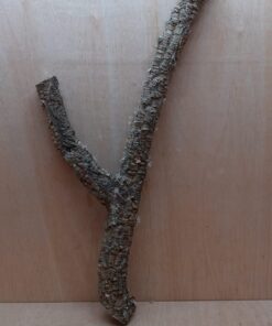 Medium Cork Branch - 40-80cm - 2