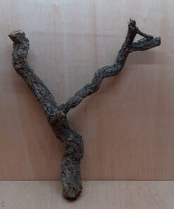 Medium Cork Branch - 40-80cm - 5