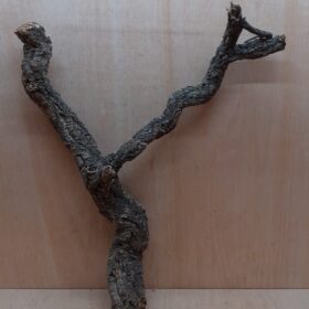 Medium Cork Branch - 40-80cm - 5