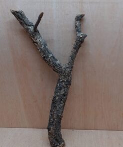 Medium Cork Branch - 40-80cm - 6