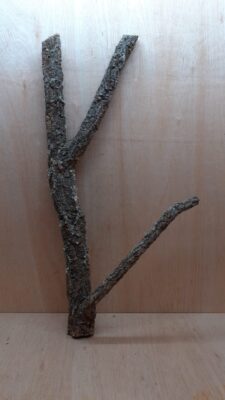 Large Cork Branch - 80-110cm - 4