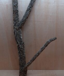Large Cork Branch - 80-110cm - 4