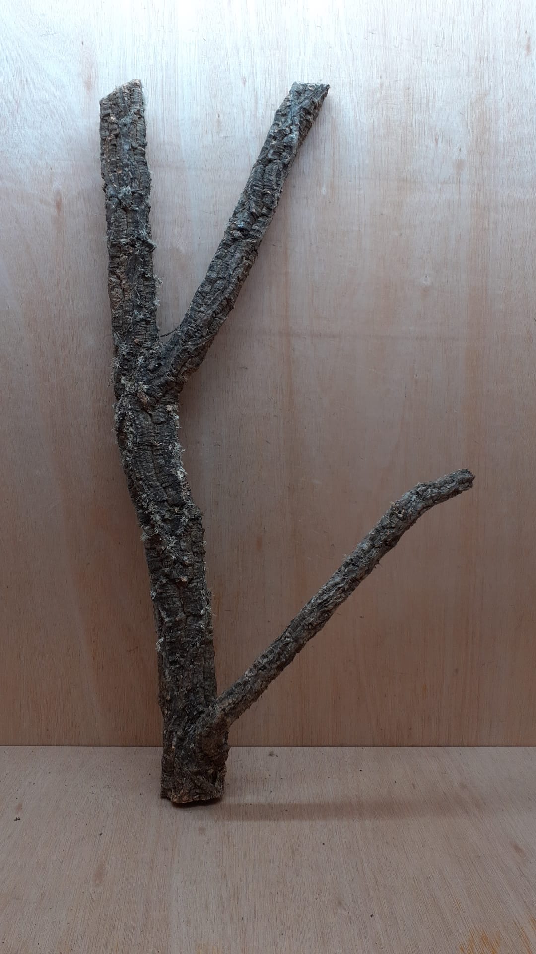 Large Cork Branch - 80-110cm - 4
