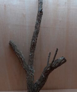 Large Cork Branch - 80-110cm - 8