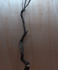Large Cork Branch - 80-110cm - 10