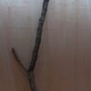 Large Cork Branch - 80-110cm - 12
