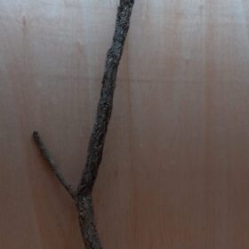 Large Cork Branch - 80-110cm - 12