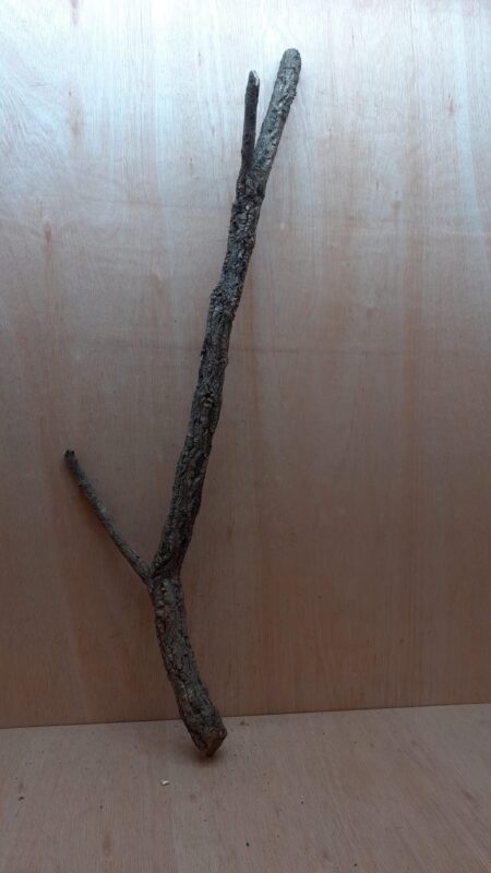 Large Cork Branch - 80-110cm - 12