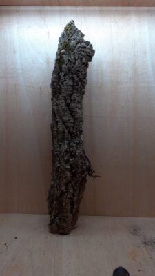 Medium Cork Tube - 80-110cm - 20