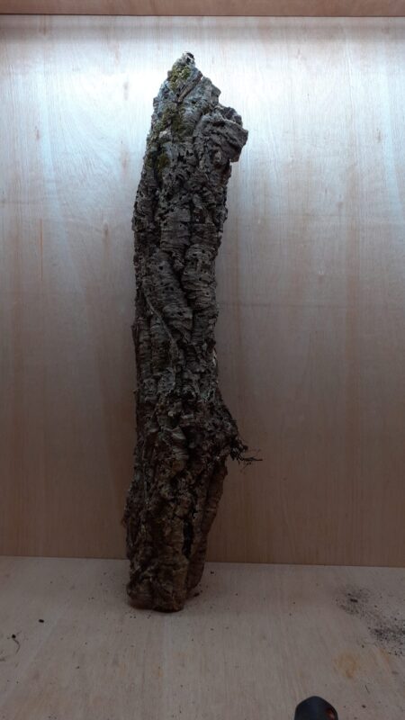 Medium Cork Tube - 80-110cm - 20