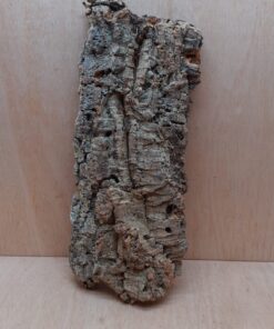 Large Cork Flat 1