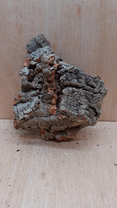 Medium Cork Flat 20