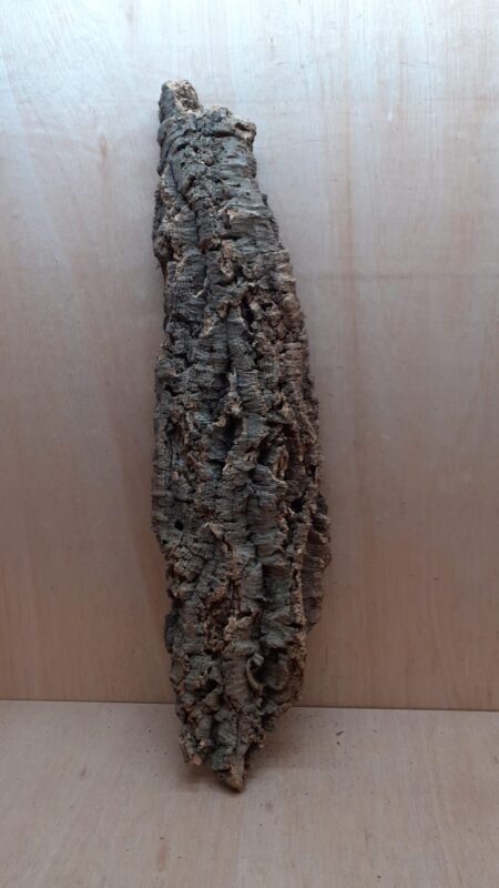 Large Cork Flat 3