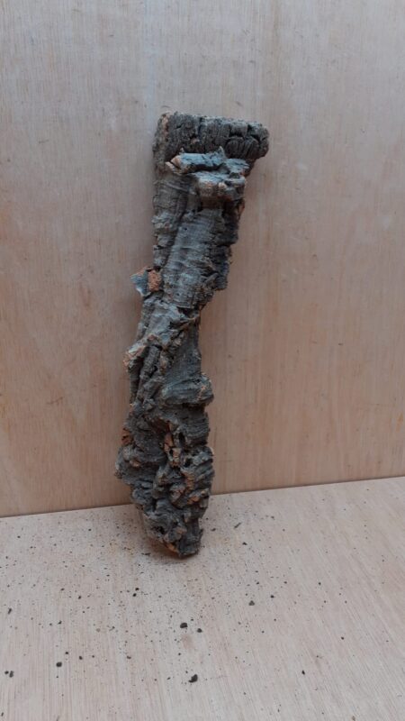 Large Cork Flat 15