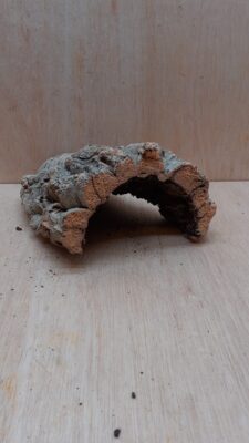 Small Cork Hide 2