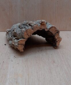 Small Cork Hide 2