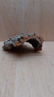 Small Cork Hide 4